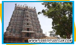 divya desams in chola nadu tour operators tirtha yatra